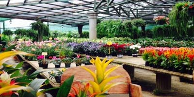 La Garita Costa Rica Real Estate Property