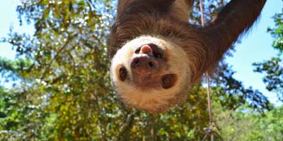 Turrucares Costa Rica Real Estate Property